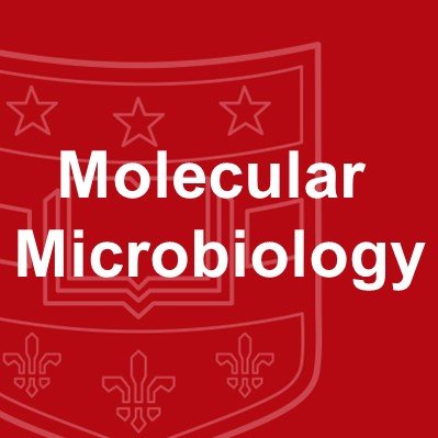 Molecular Microbiology Dept. at Washington University School of Medicine in St. Louis