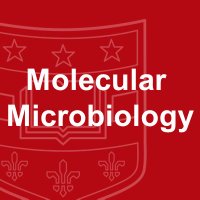Washington University Molecular Microbiology(@WUSM_MolMicro) 's Twitter Profile Photo