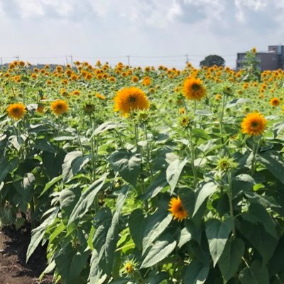 １児のママ👧🏻日常とかおすすめとかテキトーに呟きます♪