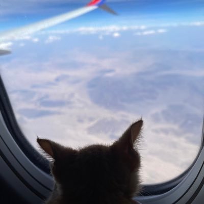 Sandra20659472's profile picture. I’m just contemplating from above…