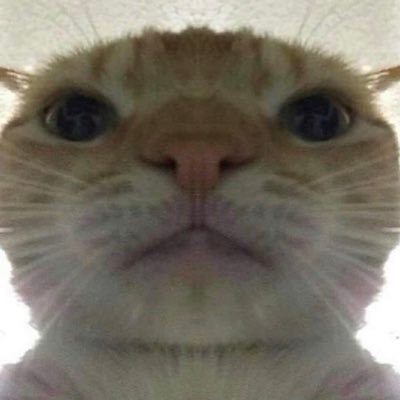 darealizt86tree's profile picture. Snapping Necks and Cashing Checks