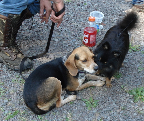 wlkrhntr7401's profile picture. hunting ,fishing, geocaching, family, building things by hand, also climbing and rappeling for caches. enjoy sports, hiking, and pretty much anything outdoors