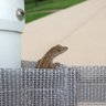 KgaAngel's profile picture. Lives in the free state of Florida!