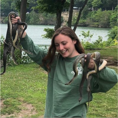 Graduate student at @Portland_State studying the relationship between painted turtles and non-native species 🐢 She/her