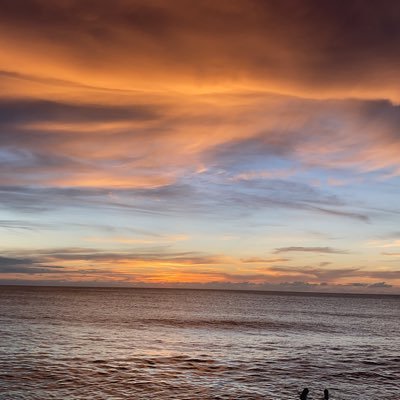 1040esq's profile picture. Never trust sheep