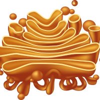 Fromme Lab (@fromme_lab) 's Twitter Profile Photo Fromme Lab (@fromme_lab) 's Twitter Profile Photo