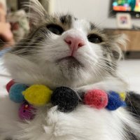 Freyja (@freyjayim) Twitter profile photo