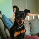 Lisa Getty - @kenziemonkey - Twitter