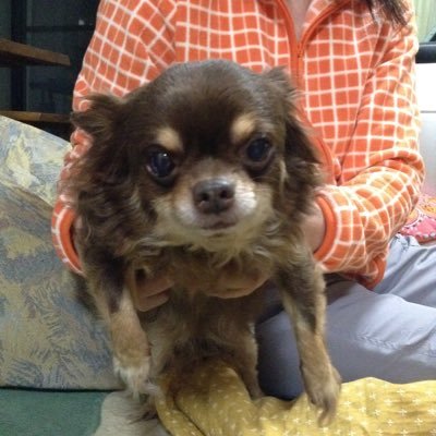 takeuchi_shoji's profile picture. たまに⛰️山登りしてます。