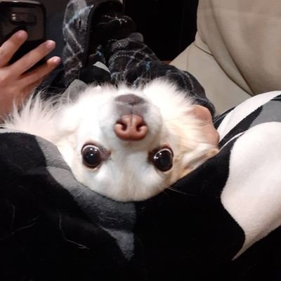 eth_plum's profile picture. 都市伝説と仮想通貨大好き「信じるか信じないかはあなた次第です🤜」
無言フォロー失礼致します。