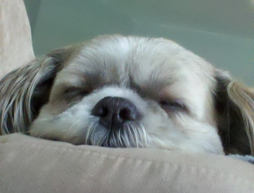 nickie_z's profile picture. Me just being me.