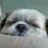 nickie_z's profile image