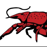 Unwoke Crawfish (@wokelaugh) 's Twitter Profile