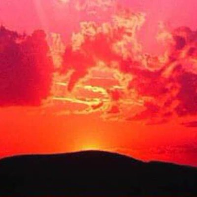 willmc08192381's profile picture. me gusta leer y viajar y degustar buenas frutas