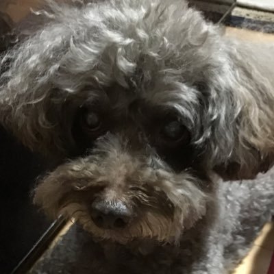 hiropiii1013's profile picture. 