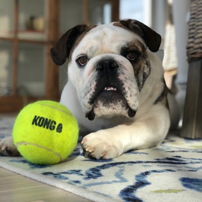 smokeyledgewood's profile picture. 