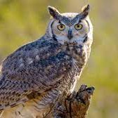 Adam (@bookreviewer88) 's Twitter Profile Photo