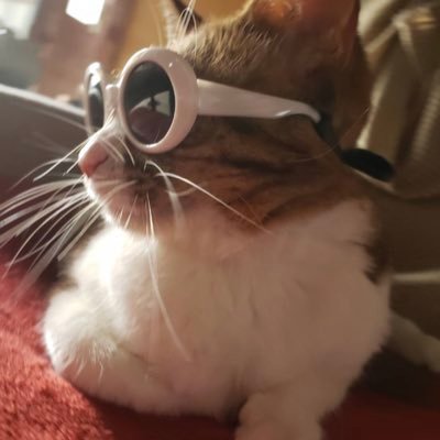 モンスト2000🌈基本ソロプレイ①垢🐱モンスト好きと仲良くしたいです꒰⌯͒•·̫•⌯͒꒱♂いいねたまにしか返せなくてすみません🙇♂️