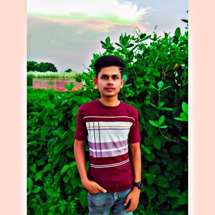 A #DIgital_Marketing expert and Social Media Organic Growth Expert. Also a Professional #Freelancer at #Fiverr and #upwork.