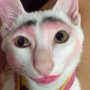 miya park_ - @miyanopen - Twitter