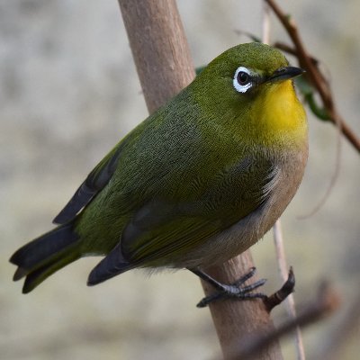 趣味：写真、旅行、植物栽培、釣り、アウトドア