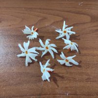 Marie Cle'mentine (@clam2989) 's Twitter Profile Photo