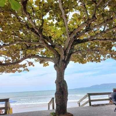 kskziam's profile picture. n sei mexer nesse trem não! 🥲