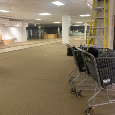 whatelseisnew__'s profile picture. words