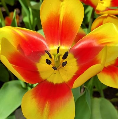 JW_Kwek's profile picture. Scientific Researcher