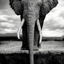 Dan Stringer - @stringerdan009 - Twitter