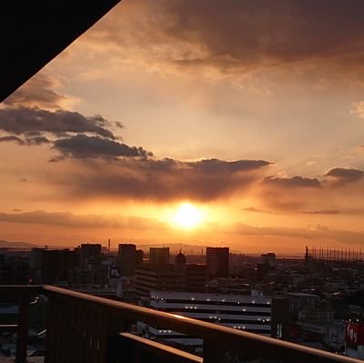 haruo_k1's profile picture. 不登校、社会的養護の当事者であり、最近はヤングケアラーの当事者でもある可能性に気付く。
自転車操業な人生を日々送っています。