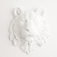 Aiden Acosta (@aidenacostaa) 's Twitter Profile