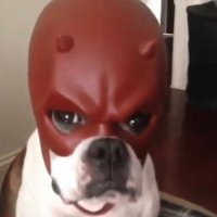 dig ole bick (@sheputitinalone) 's Twitter Profile
