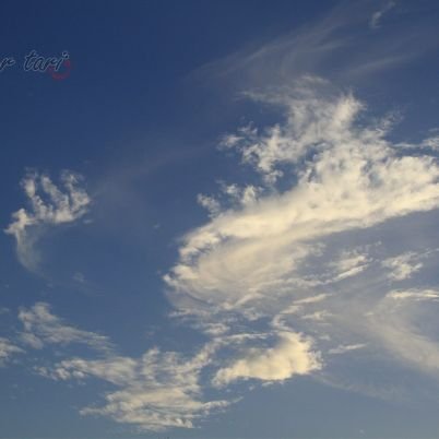 abu909980's profile picture. 