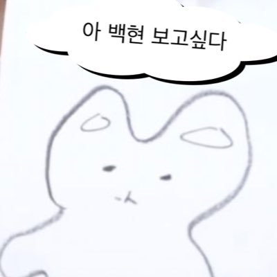 보름さんのプロフィール画像
