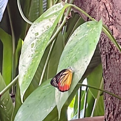 Army07's profile picture. 