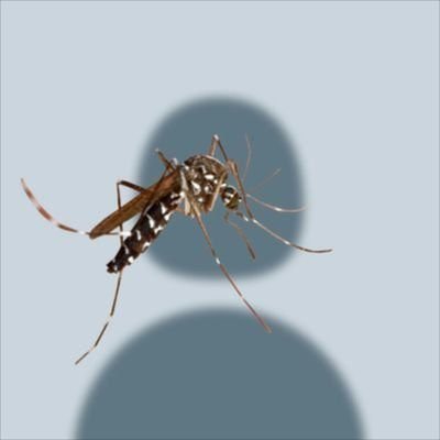 ihirfahan's profile picture. lifelong learner