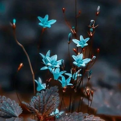 MstRumiAkter4's profile picture. I am a social media marketer and social media marketing manager. I have been working successfully in various marketplaces for a long time.