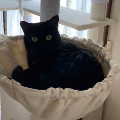 Kaito98395614's profile picture. 群馬183/01