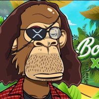 XRP Adventure ⓧⓋ (@xrp_adventure) 's Twitter Profile