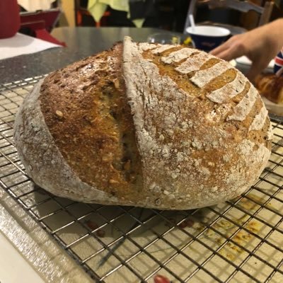 sackofbadgers's profile picture. 