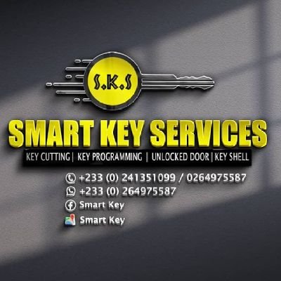 Professional Locksmith and Key Programmer