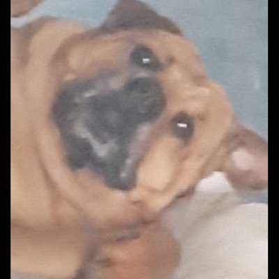 br0okelmaoo's profile picture. 😹🤝