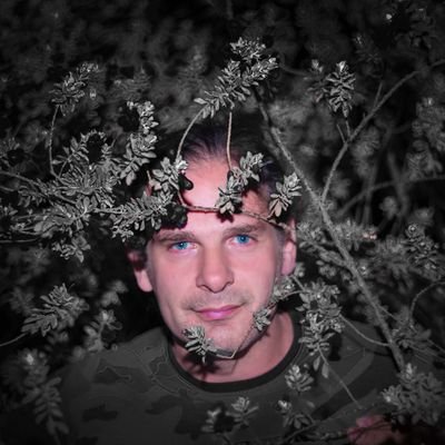 ARusteiko's profile picture. Avido por conhecimento, professor e fotógrafo de ensaios, eventos mas adora capturar os momentos que a natureza apresenta.