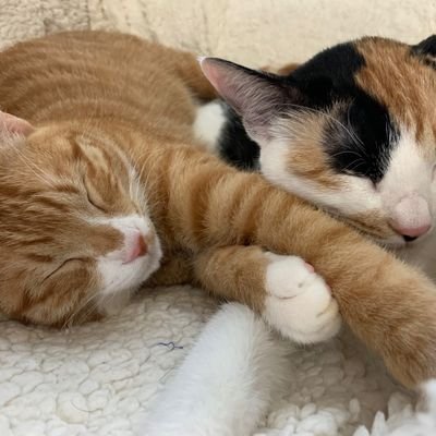 jungcook1987's profile picture. 운동을 죽을때까지 하면서 내적인 요소를 튼튼하게 즐겁게 살려고 합니다