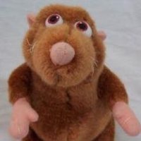 Ratbo (@brownratbo) 's Twitter Profile Photo Ratbo (@brownratbo) 's Twitter Profile Photo