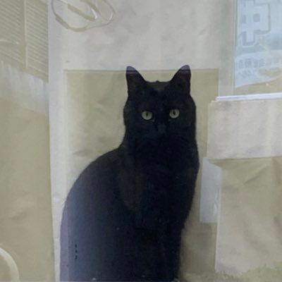 白兎さんのプロフィール画像