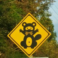 Gondanuki (@gondanuki2) 's Twitter Profile
