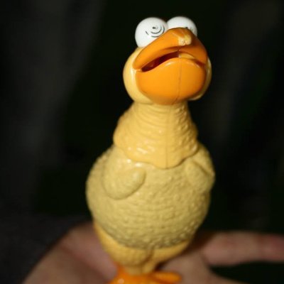 oocRtpArena's profile picture. @rtparenal