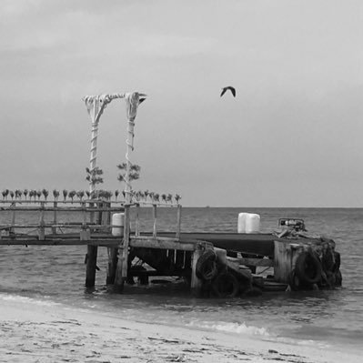 silence18181's profile picture. 